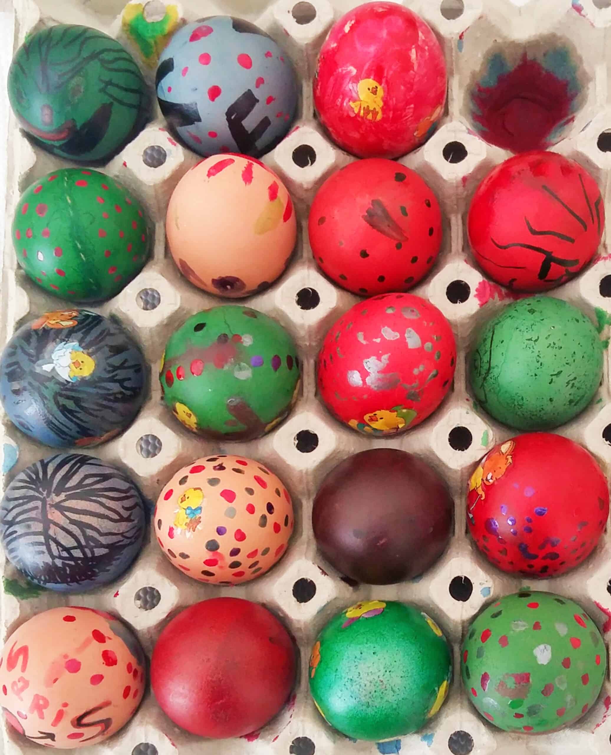 Metadrasi - all eggs s scaled