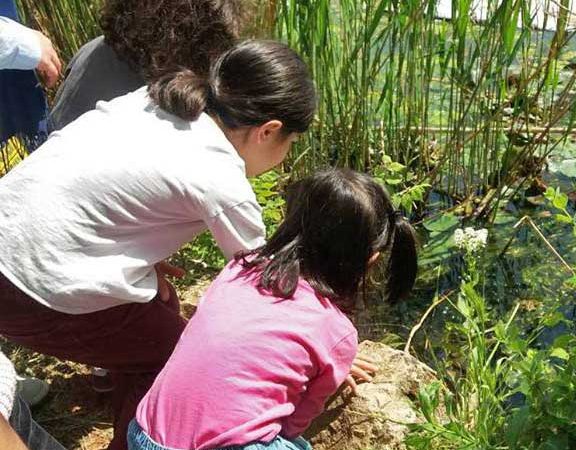 Metadrasi - step2school metadrasi earthday 2