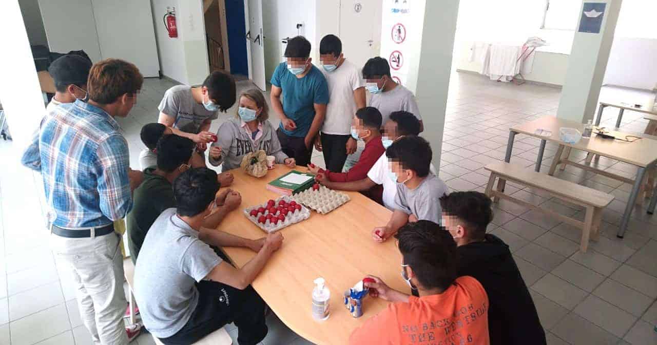 Metadrasi - 185909720 3309275039213864 7651543828041694003 n