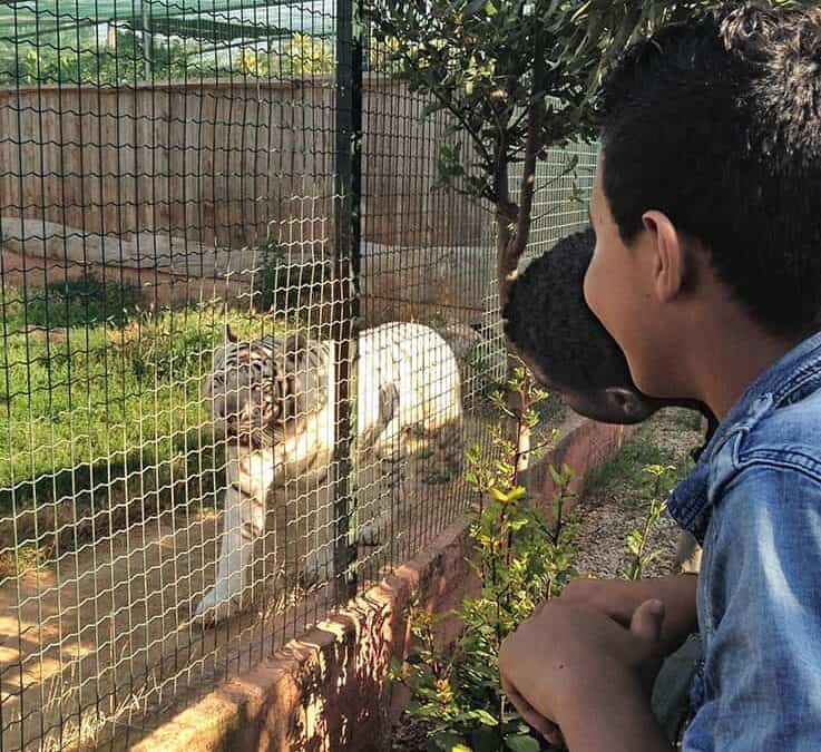 Δίκτυο Επιτροπείας Ασυνόδευτων Ανηλίκων: μια μέρα στο πάρκο