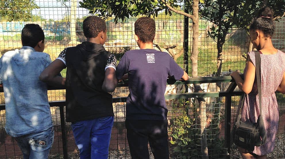 Metadrasi - Δίκτυο Επιτροπείας Ασυνόδευτων Ανηλίκων: μια μέρα στο πάρκο 2 IMG_6647 zoo