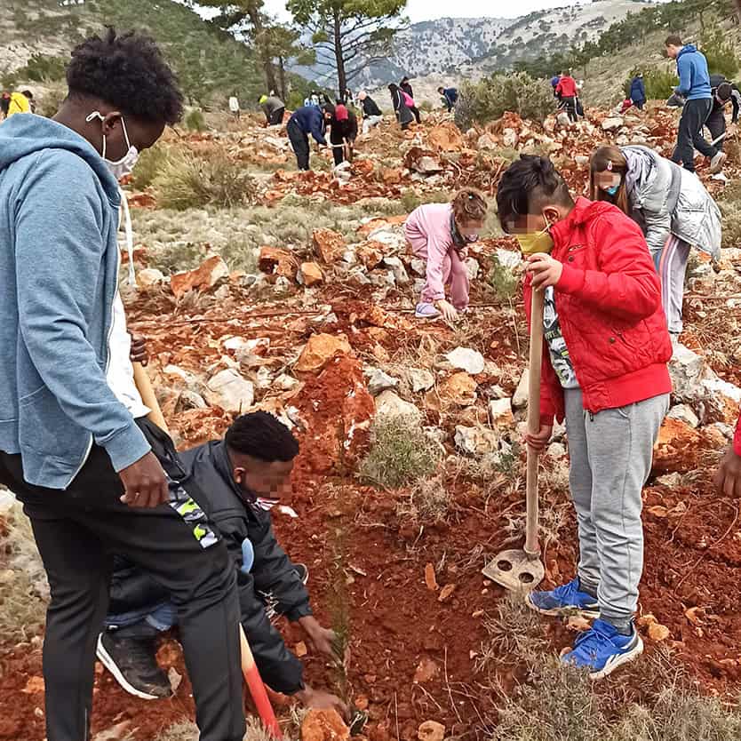 Τα παιδιά της δομής Χίου συμμετέχουν σε δράση δενδροφύτευσης!