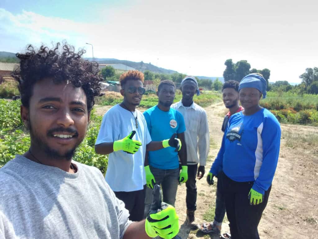 Exploring the professional perspectives of agriculture
