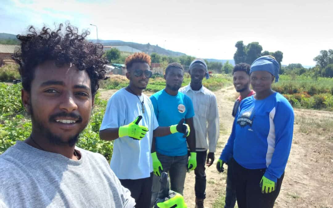 Exploring the professional perspectives of agriculture