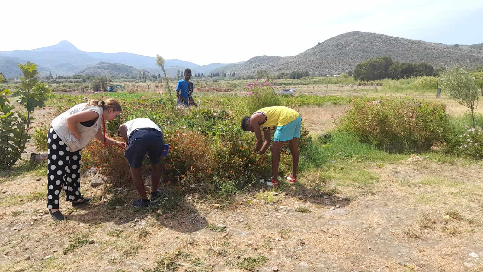 Metadrasi - Εξερευνώντας την επαγγελματική προοπτική της ενασχόλησης με τη γη 4 Metadrasi - METAdrasi agriculture 5 1