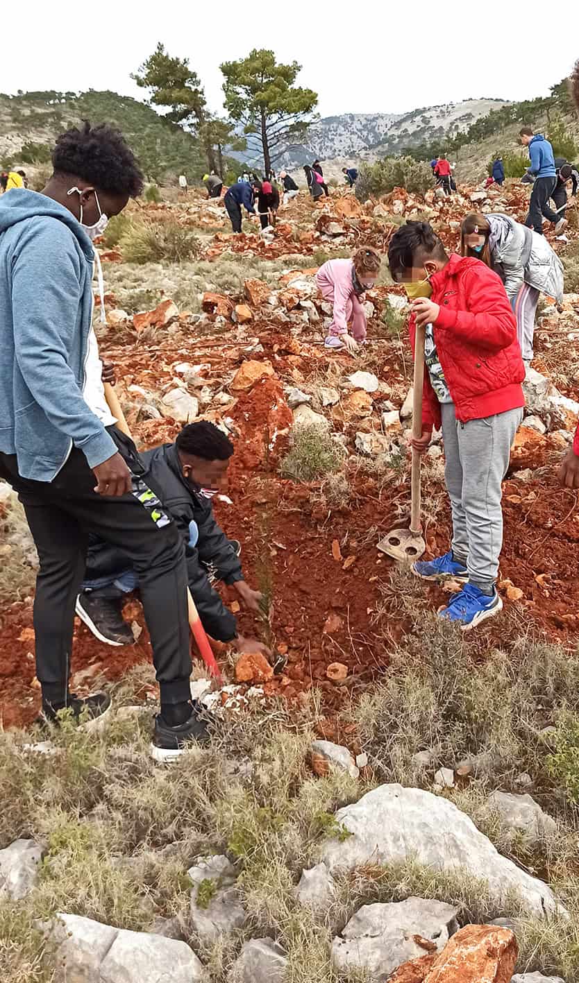 Metadrasi - METAdrasi chios tree planting 2
