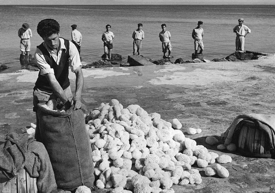 From sponge harvesting to the long journey of refugees
