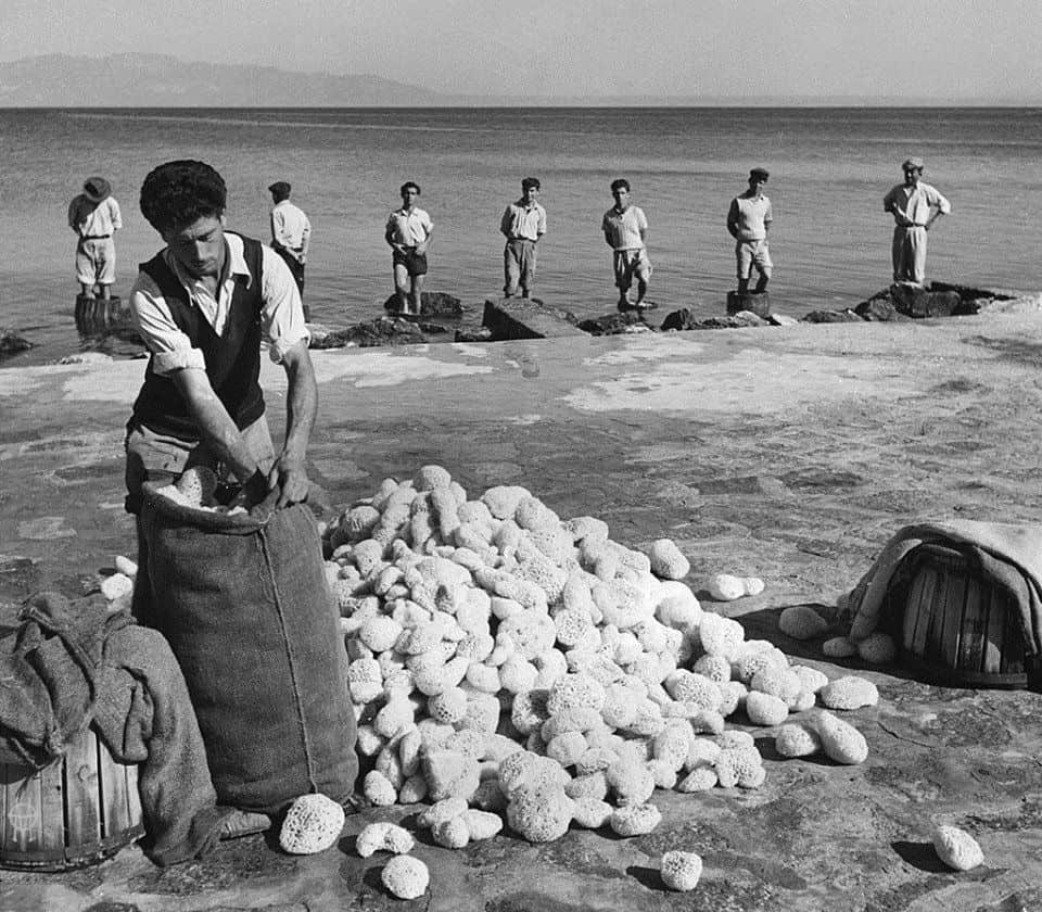 From sponge harvesting to the long journey of refugees