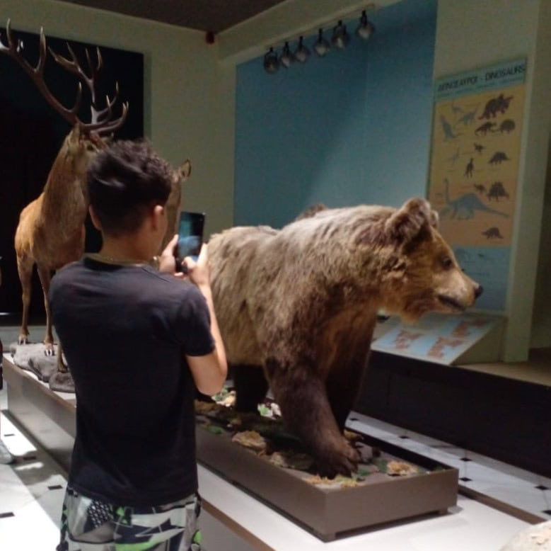 Metadrasi - METAdrasi Natural History Museum 1