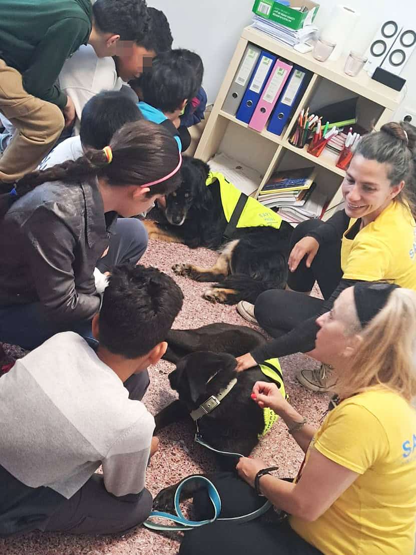 Metadrasi - Two therapy dogs visit our education center 4 Metadrasi - METAdrasi SAPT 1 1