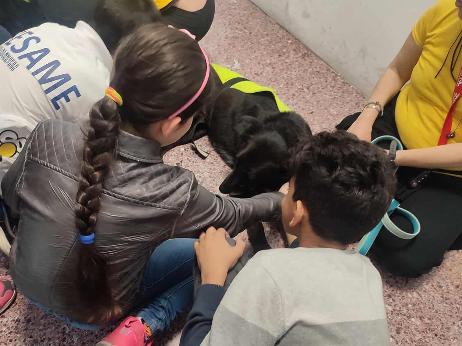 Metadrasi - Two therapy dogs visit our education center 1 Metadrasi - METAdrasi SAPT 3