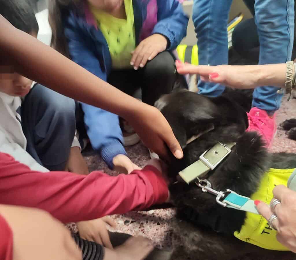 Two therapy dogs visit our education center