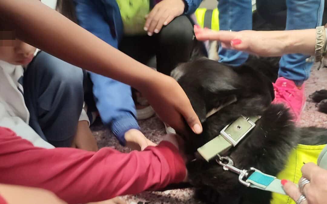 Two therapy dogs visit our education center