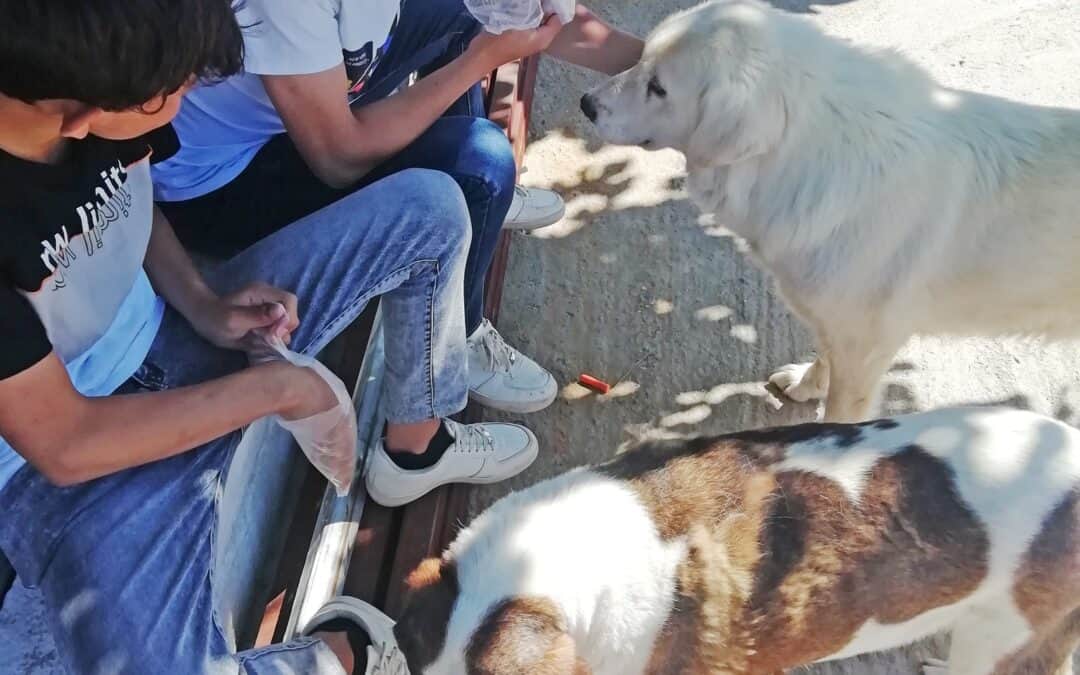 Ασυνόδευτα παιδιά του Κέντρου Φιλοξενίας Σάμου επισκέπτονται το Φιλοζωικό Σωματείο του νησιού