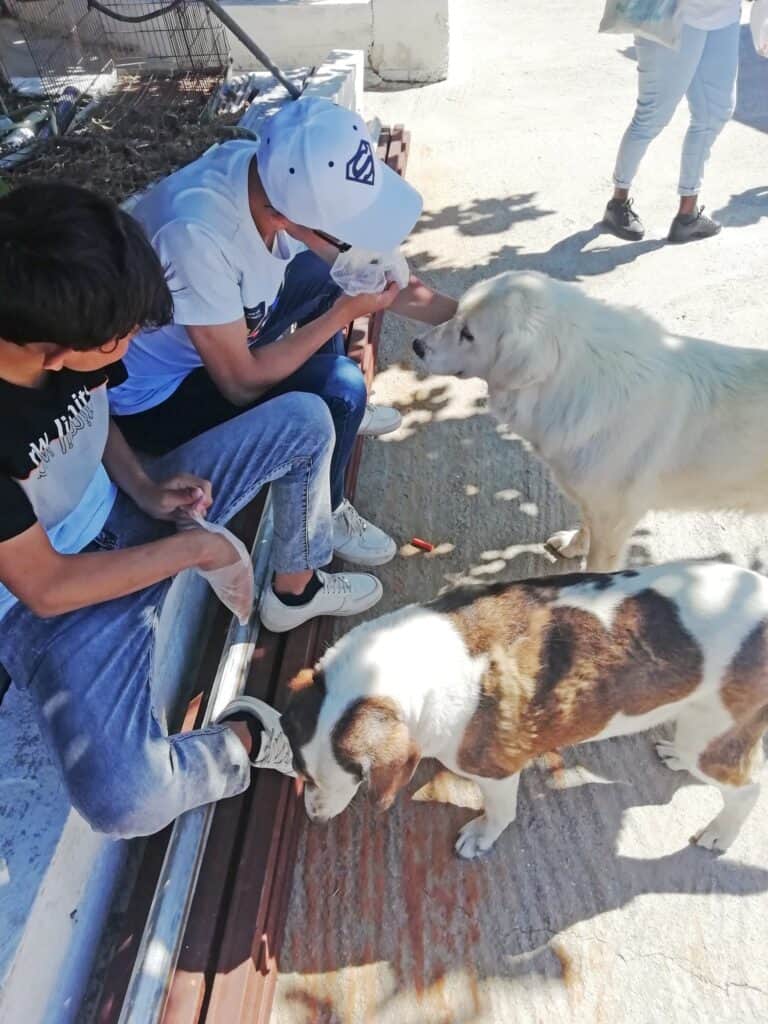 Unaccompanied children of the Samos Accommodation Centre visit the Animal Welfare Association of the island