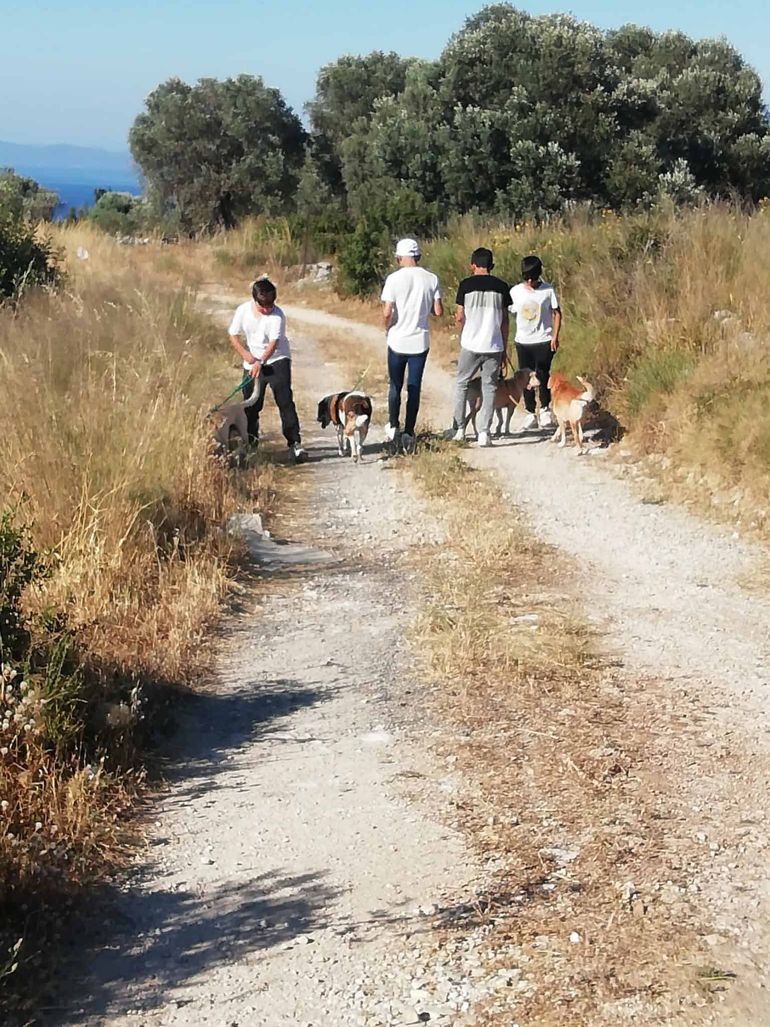 Metadrasi - METAdrasi Samos shelter 4
