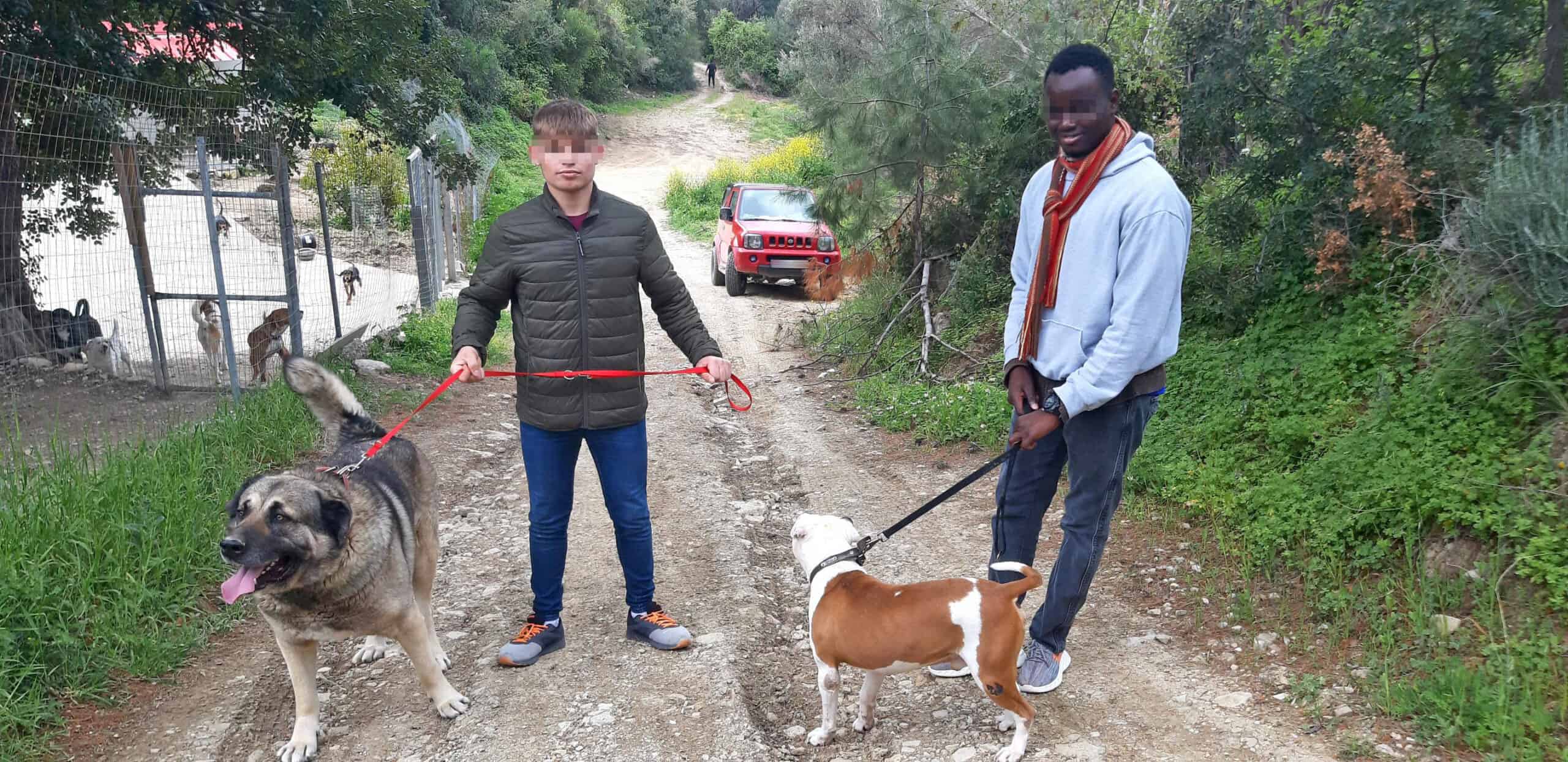 Metadrasi - METAdrasi Strays of Samos 3 scaled
