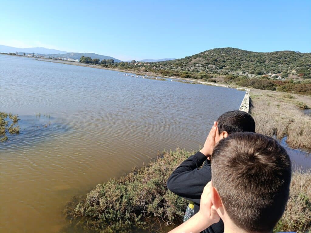 Metadrasi - Unaccompanied children of our accommodation facility in Samos admire the flamingos 3 Metadrasi - METAdrasi Samos shelter 3