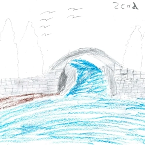 Metadrasi - 28