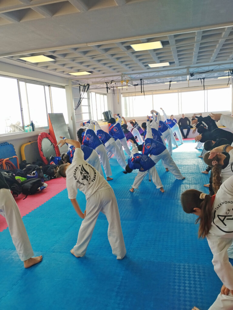 Metadrasi - METAdrasi TiS II taekwondo 768x1024 1