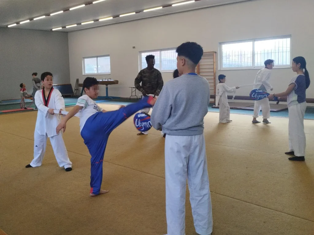 Metadrasi - Attika taekwondo