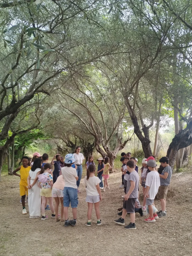 Metadrasi - IMG 20250522 103800