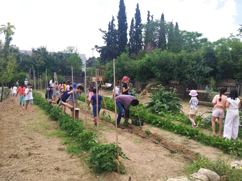 Metadrasi - IMG 20250522 104932