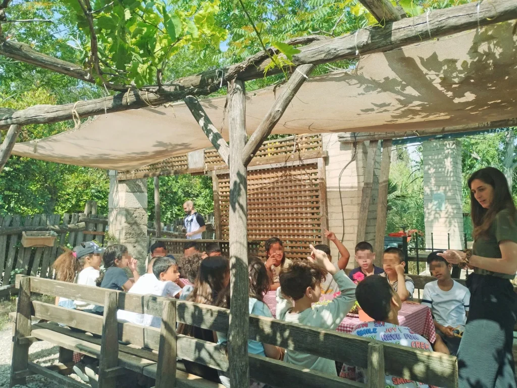 Metadrasi - IMG 20250530 101403